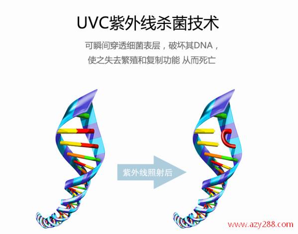換季病菌繁衍快 UVC紫外線折疊式便攜消毒包 強力殺菌消毒就靠TA